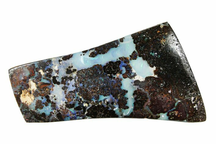 Colorful Polished Boulder Opal Specimen - Queensland, Australia #381778